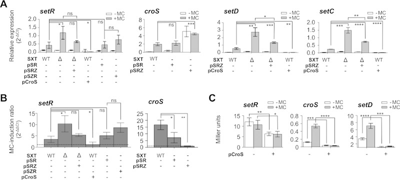 FIG 3