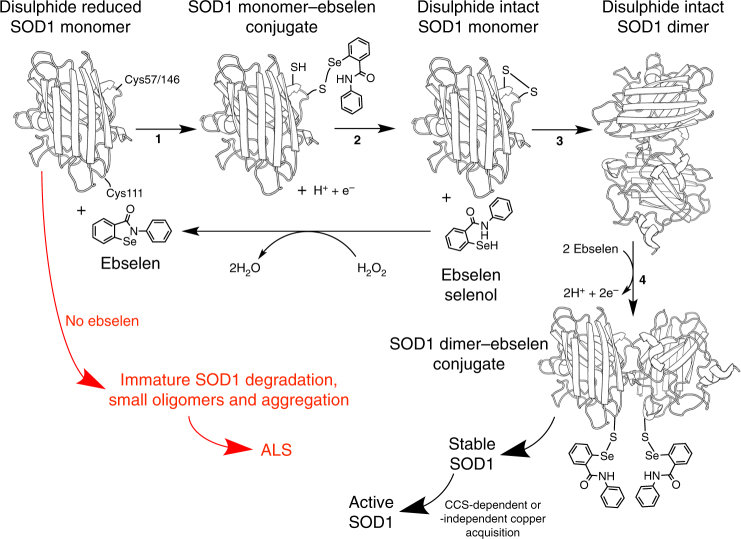 Fig. 6