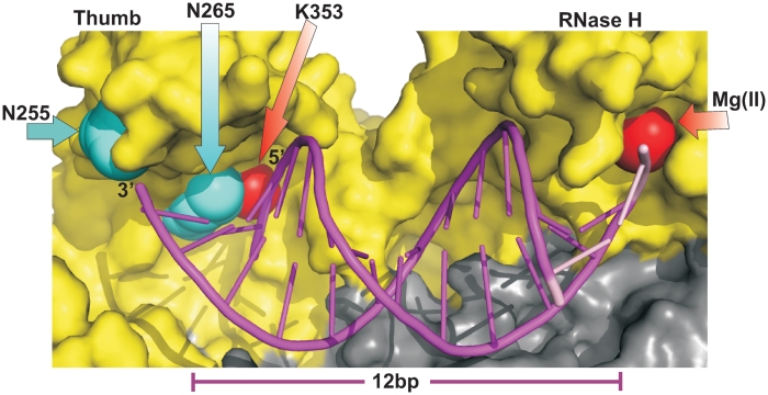 Figure 7.