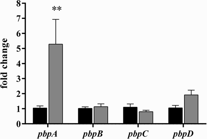 FIG 1