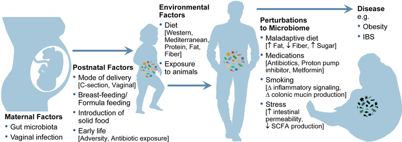 Figure 1: