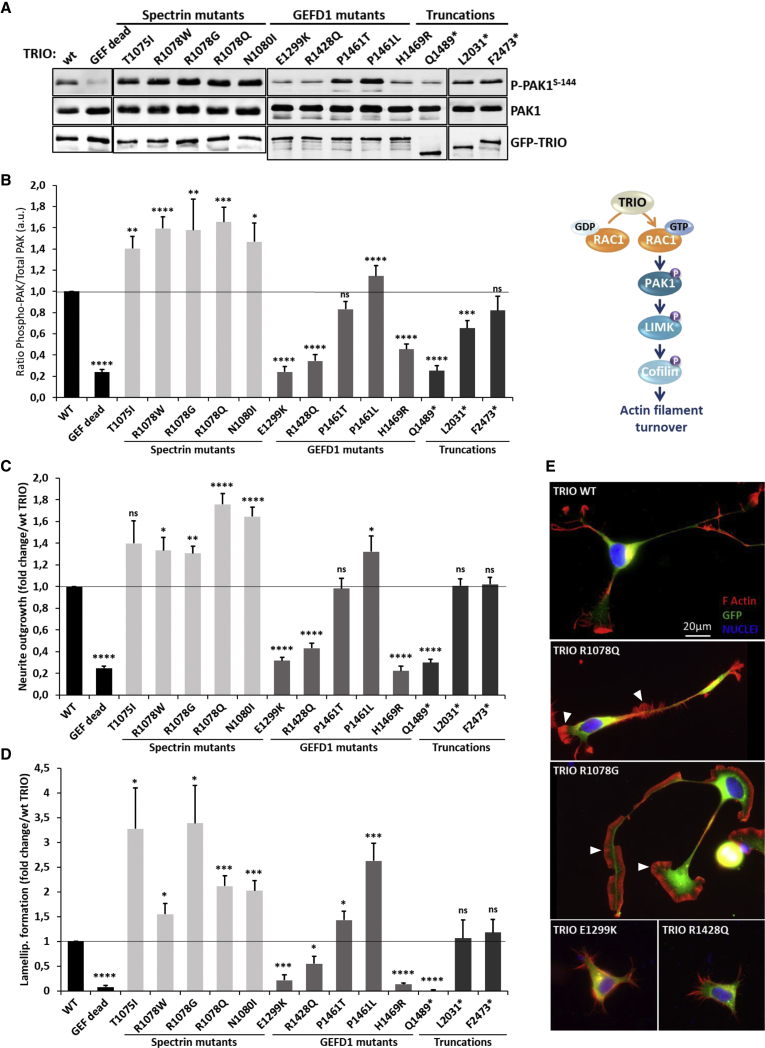 Figure 4