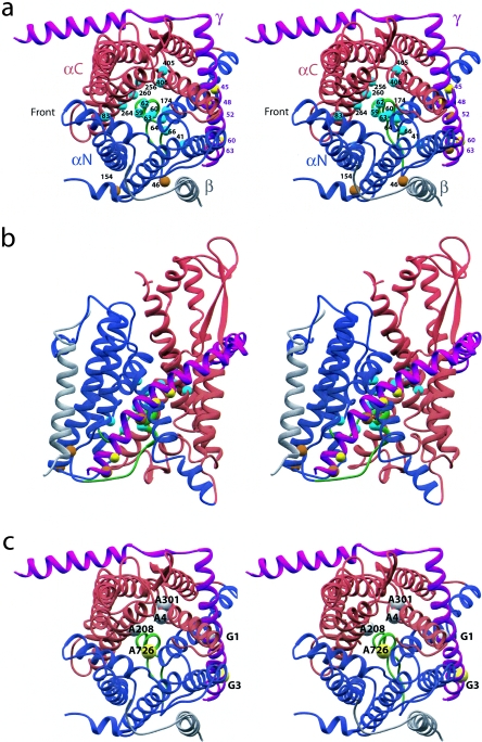 FIG. 2.