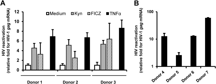 FIG 2