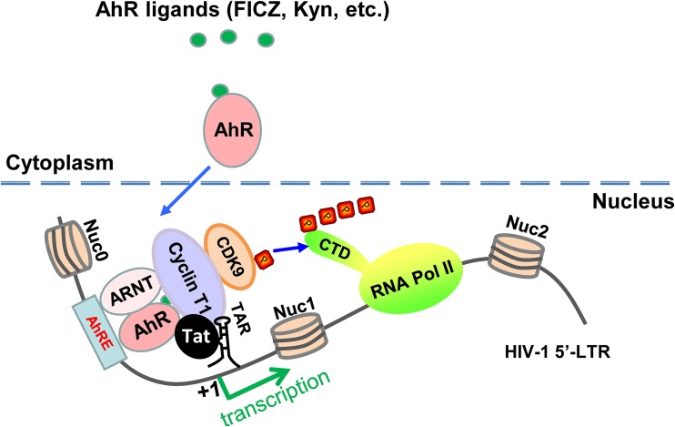 FIG 6