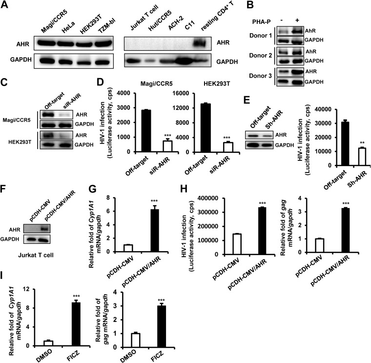 FIG 3