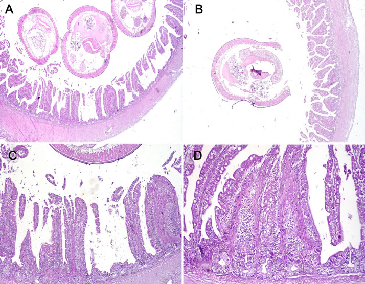 Figure 10