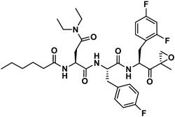 graphic file with name nihms-1958617-t0034.jpg