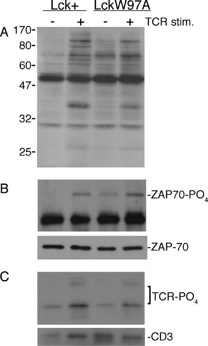 FIG. 5.