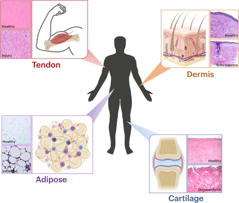 Figure 1: