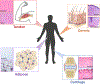 Figure 1: