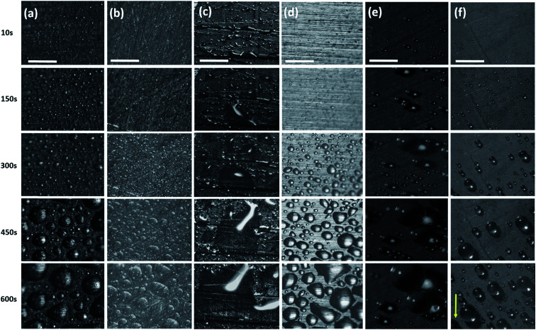 Fig. 7