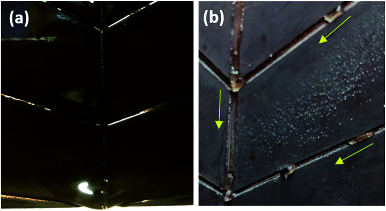 Fig. 11