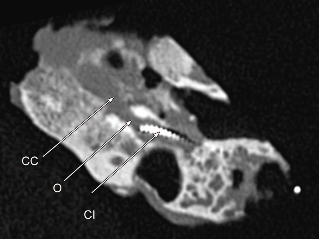 Fig. 9