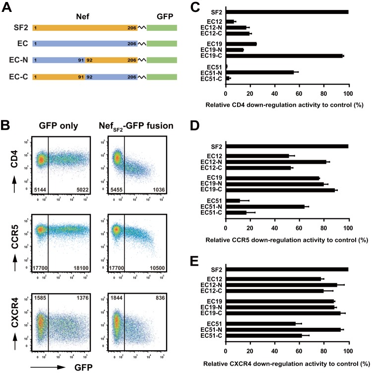 FIG 3