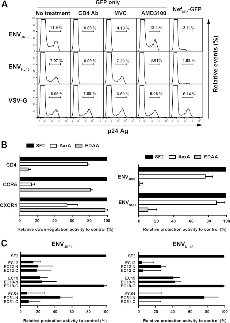 FIG 6