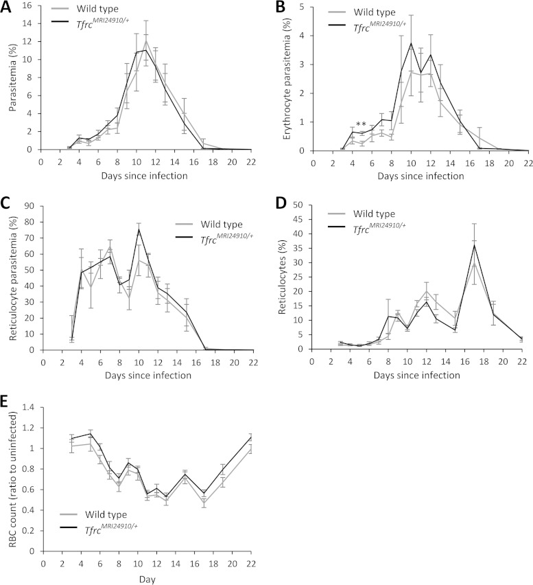 FIG 4