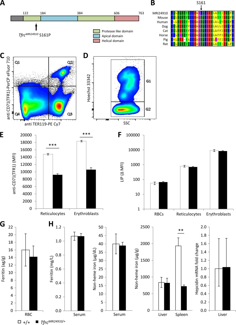 FIG 2