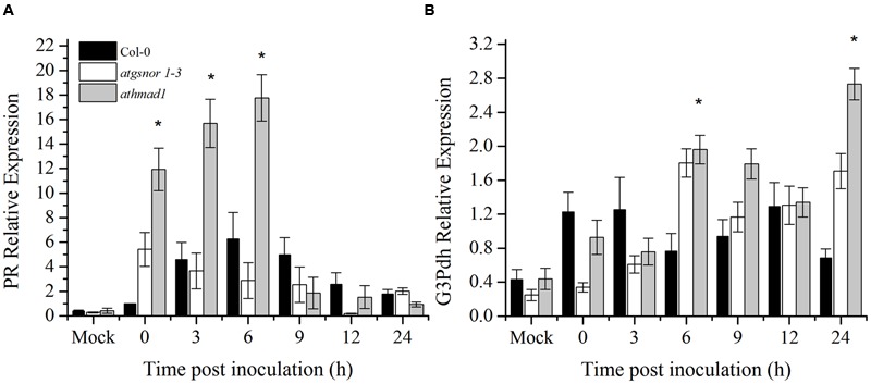 FIGURE 7