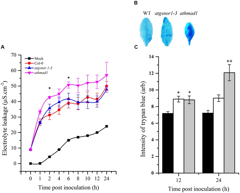 FIGURE 6