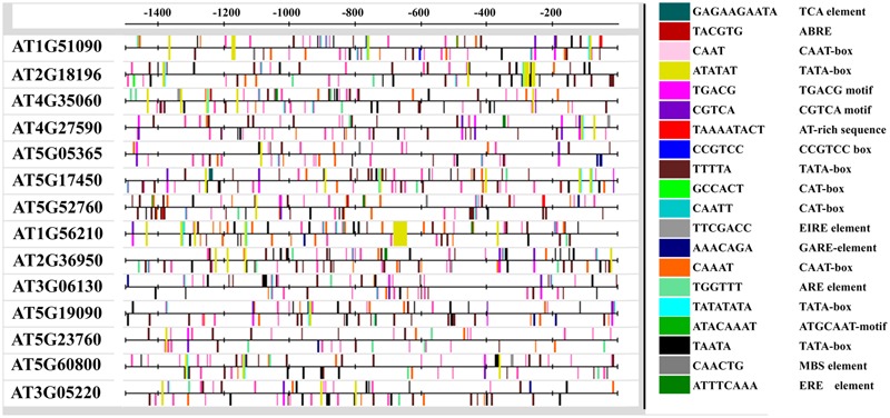 FIGURE 2