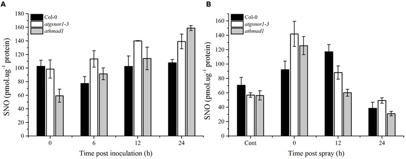 FIGURE 9