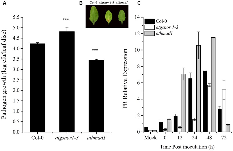 FIGURE 4