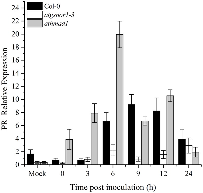 FIGURE 5