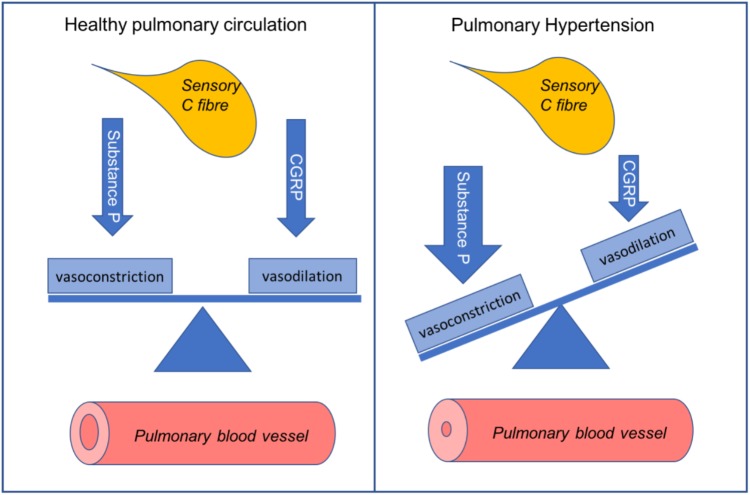 GRAPHICAL ABSTRACT