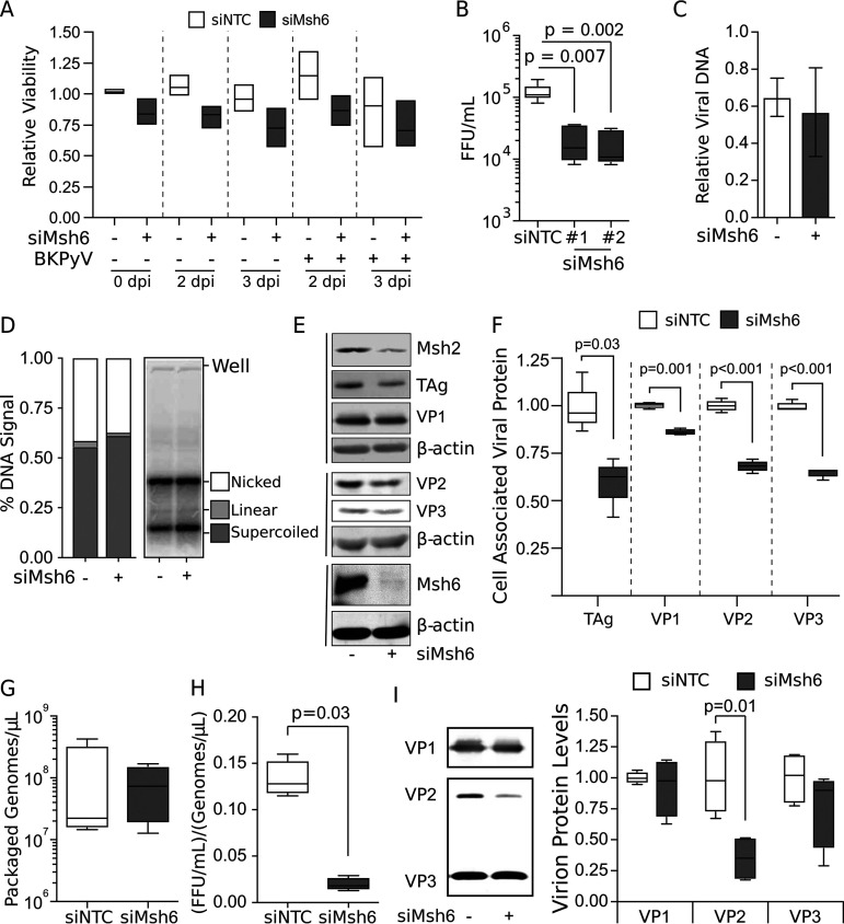 FIG 2