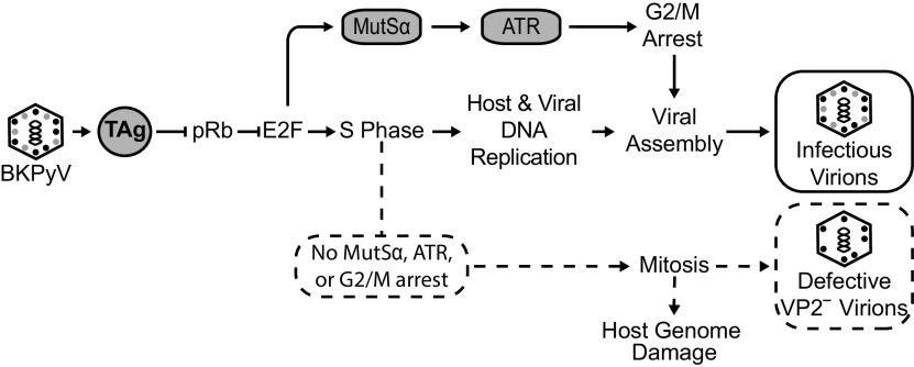 FIG 4