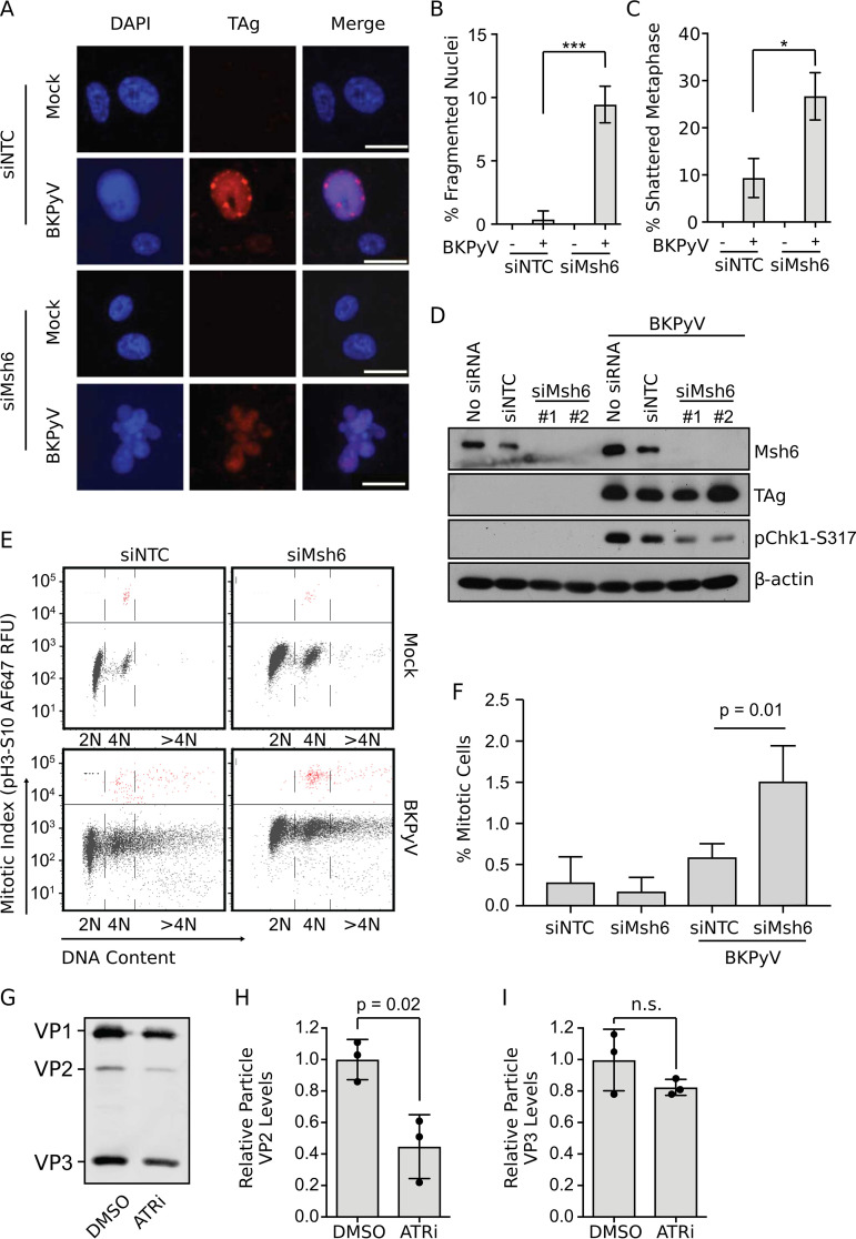 FIG 3