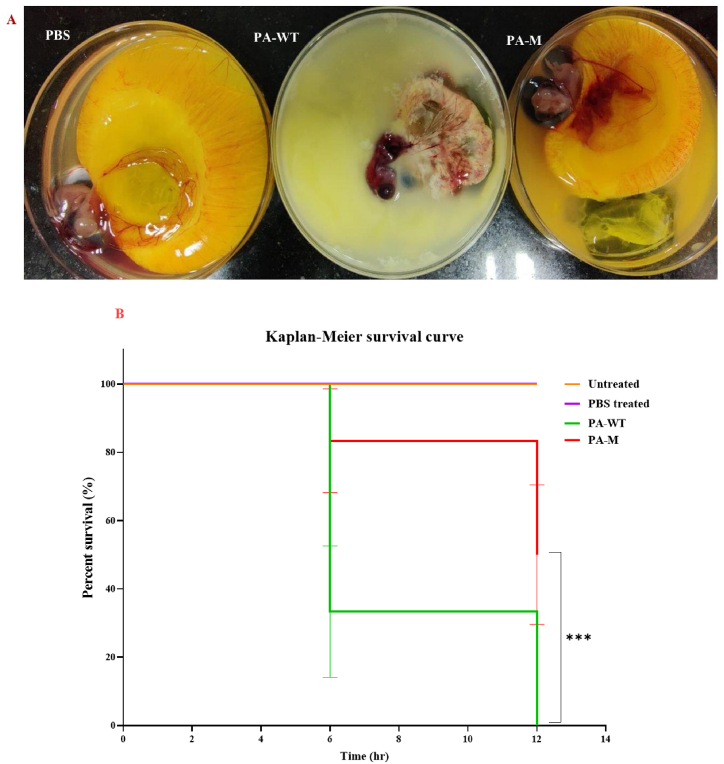 Fig. 12