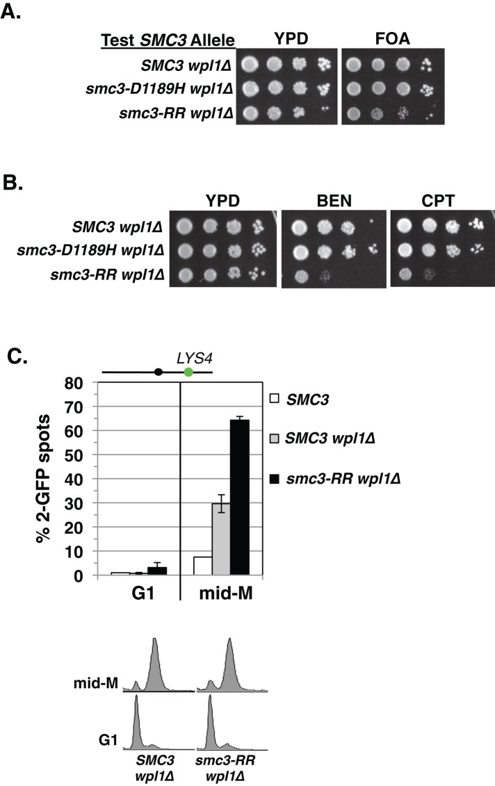 FIGURE 7: