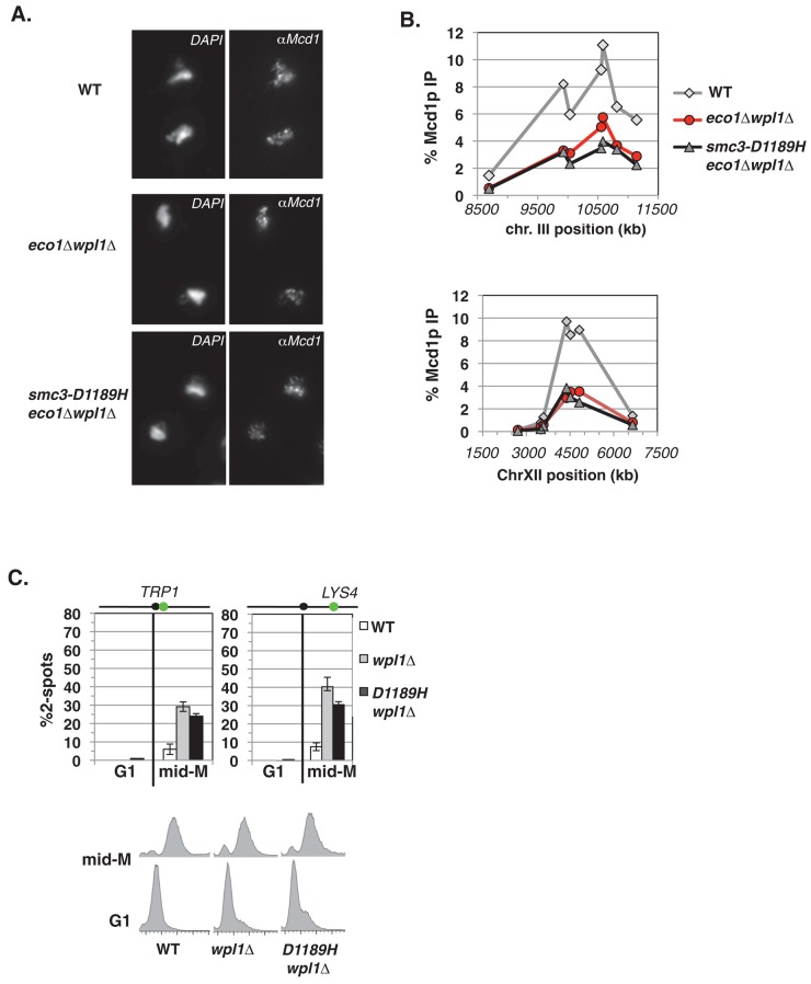 FIGURE 5: