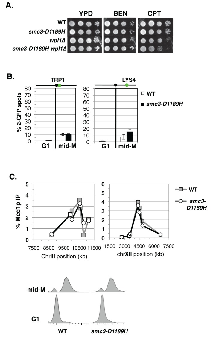 FIGURE 4: