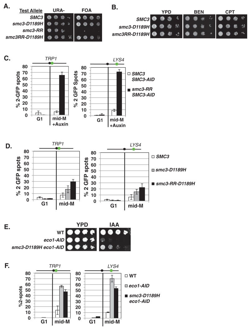 FIGURE 6: