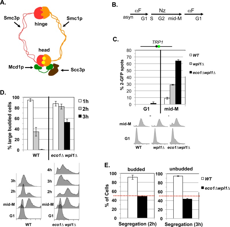 FIGURE 1: