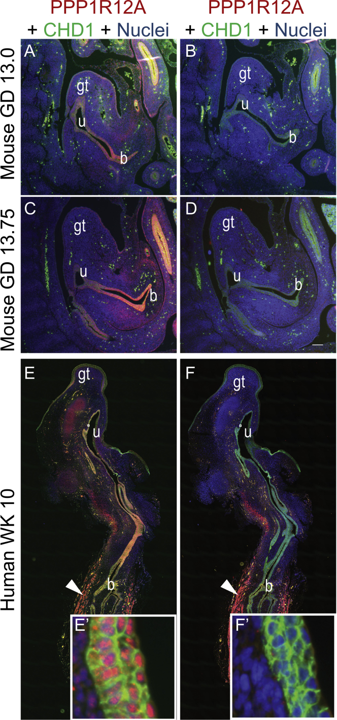 Figure 3