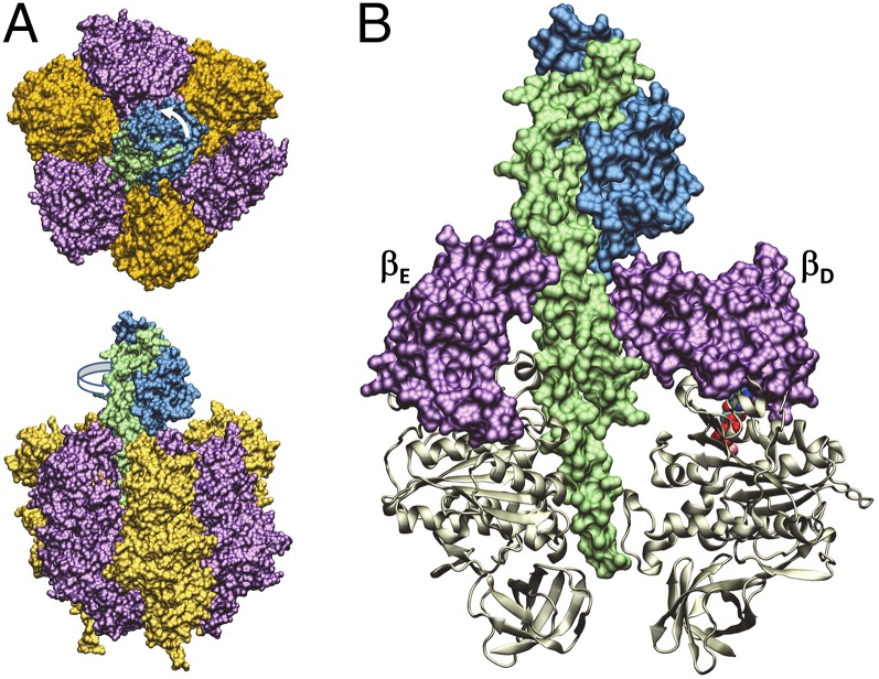 Fig. 1.