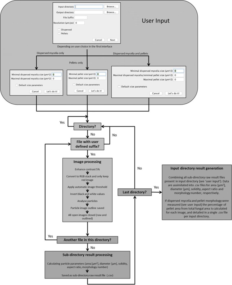 Fig. 1