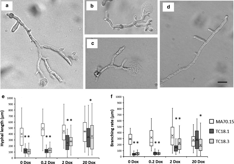 Fig. 4