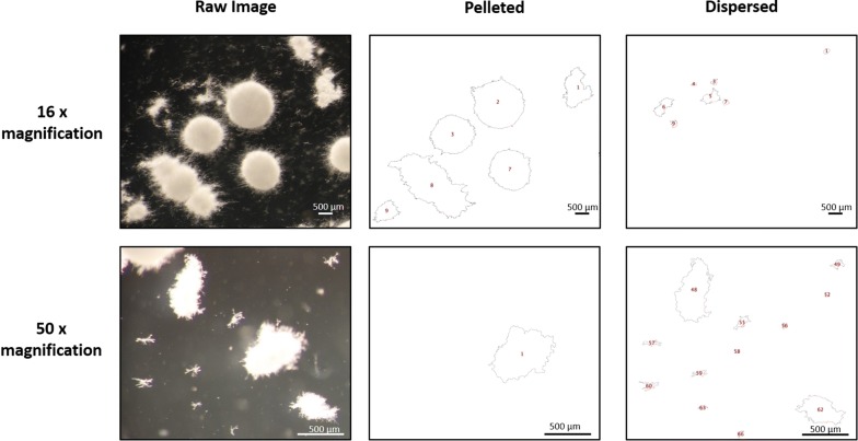 Fig. 2