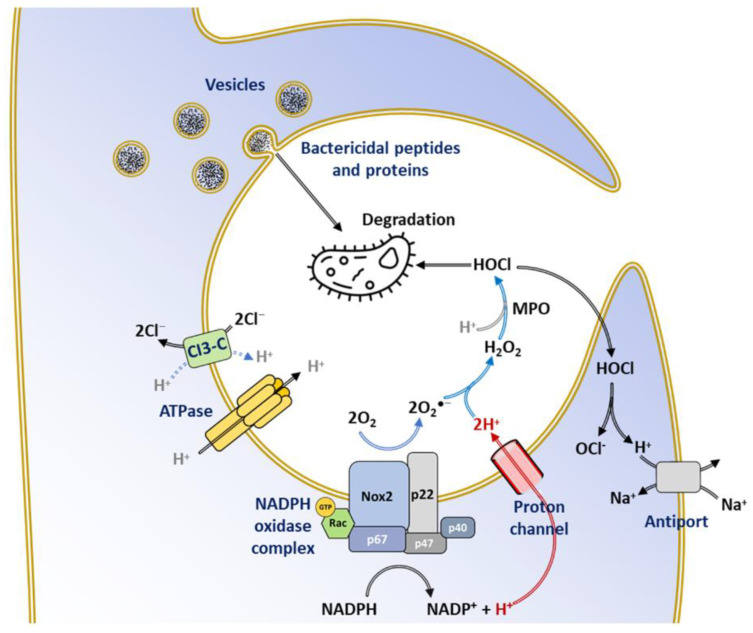 Figure 14