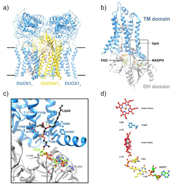 Figure 13