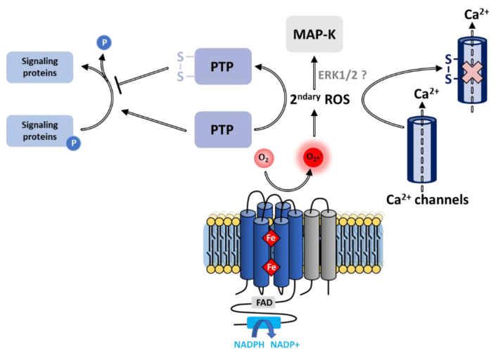 Figure 16