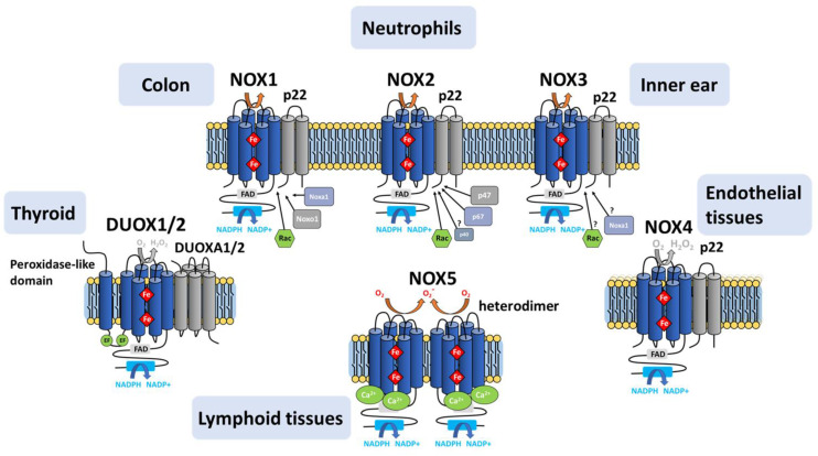 Figure 10