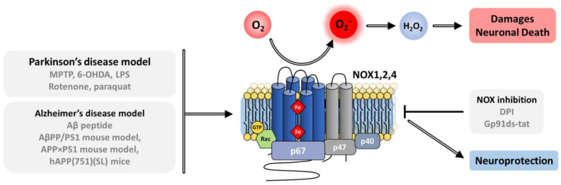 Figure 19