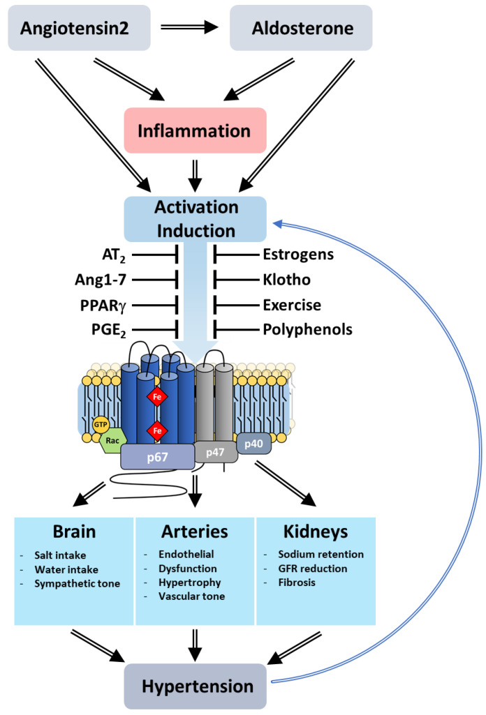 Figure 23