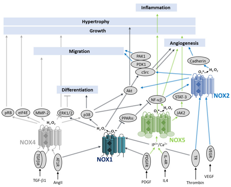 Figure 22